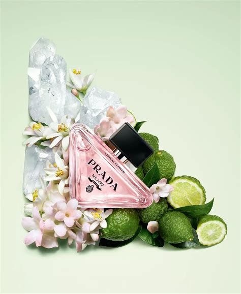 prada frottee|Prada paradoxe virtual perfume.